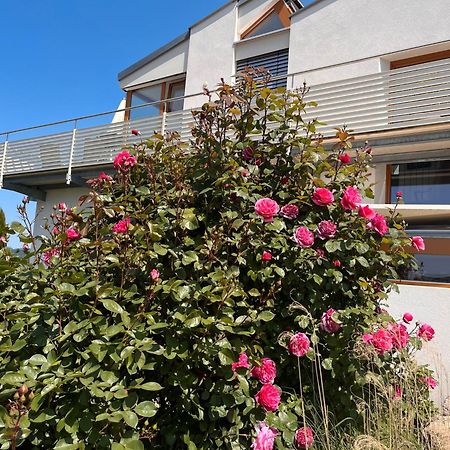 Ferienwohnungen Im Rosengarten Bodman-Ludwigshafen Exterior foto